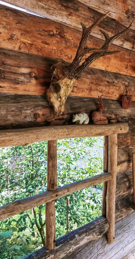Вулик Будиночок З Двома Окремими Номерами Kamianets-Podilskyi Ngoại thất bức ảnh